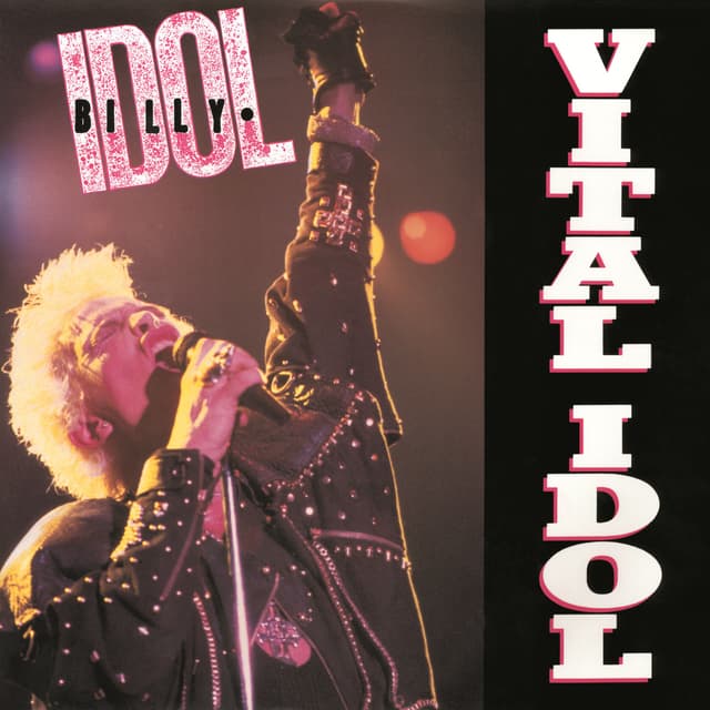 Album cover art for Vital Idol