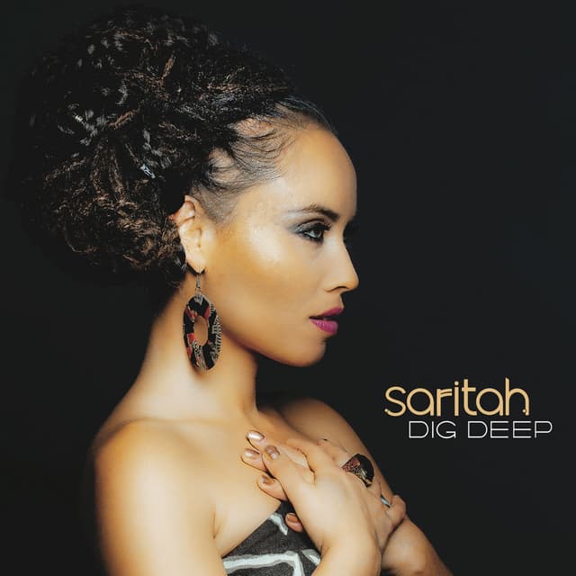 Album cover art for Dig Deep
