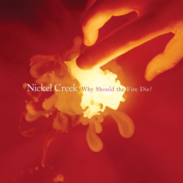 Album cover art for Why Should the Fire Die?