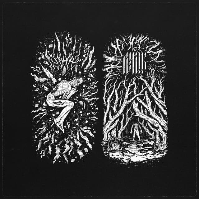 Album cover art for Split
