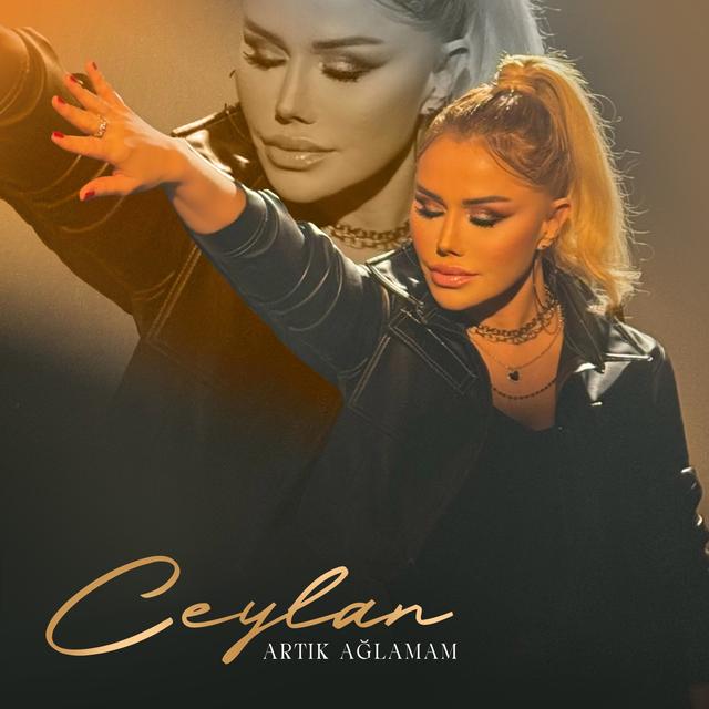 Album cover art for Artık Ağlamam - Single