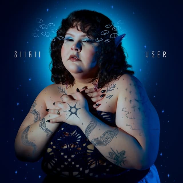 Album cover art for User