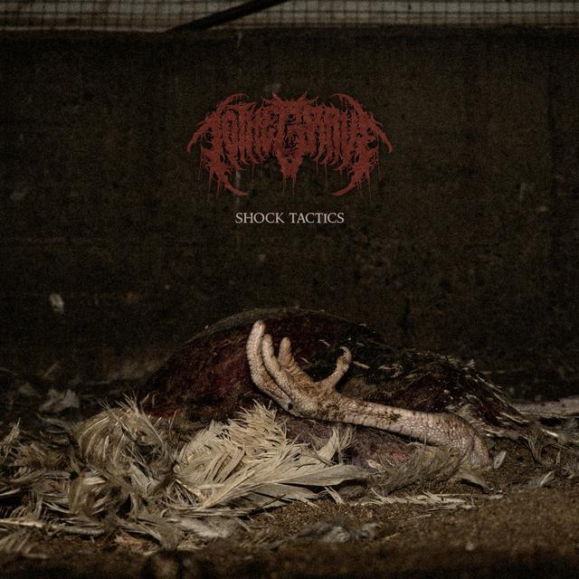 Album cover art for Shock Tactics (1000v)