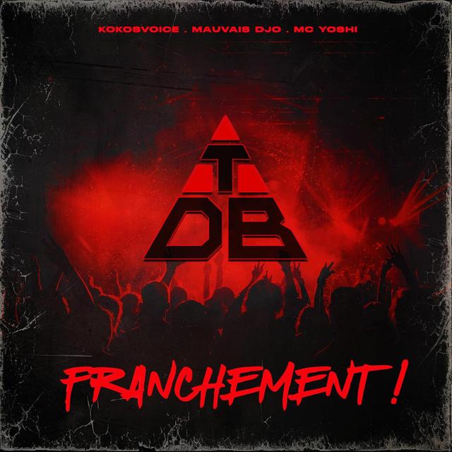 Album cover art for Franchement !