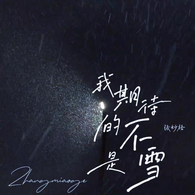 Album cover art for 我期待的不是雪