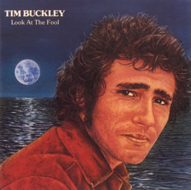 Album cover art for Look At The Fool