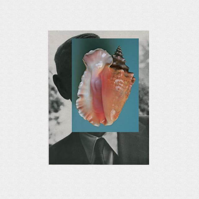 Album cover art for Late Sun