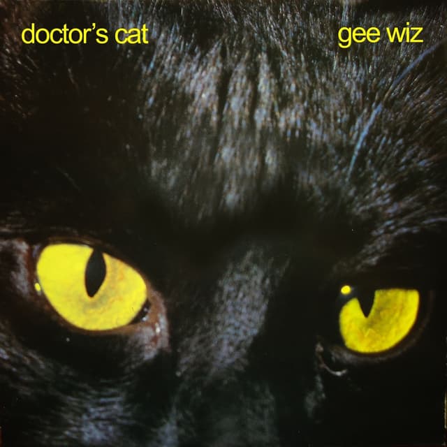 Album cover art for Gee Wiz