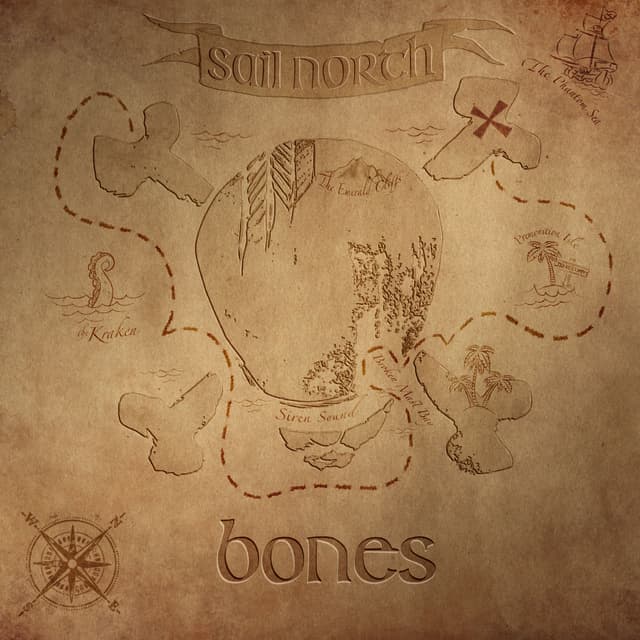 Album cover art for Bones