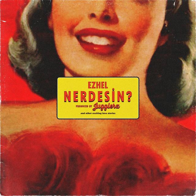 Album cover art for Nerdesin