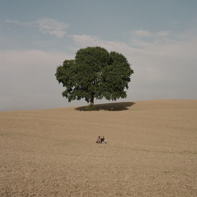 Album cover art for Vil du noget?