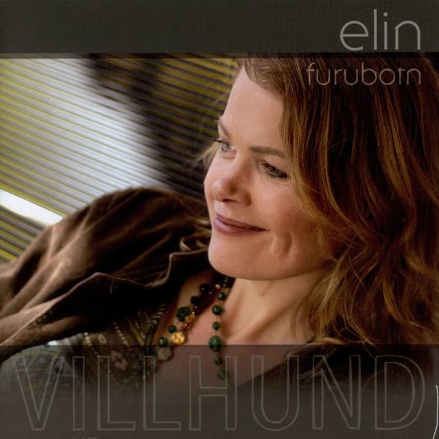 Album cover art for Villhund