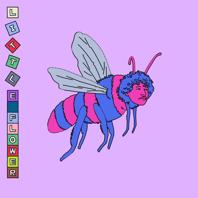 Album cover art for Little Flower