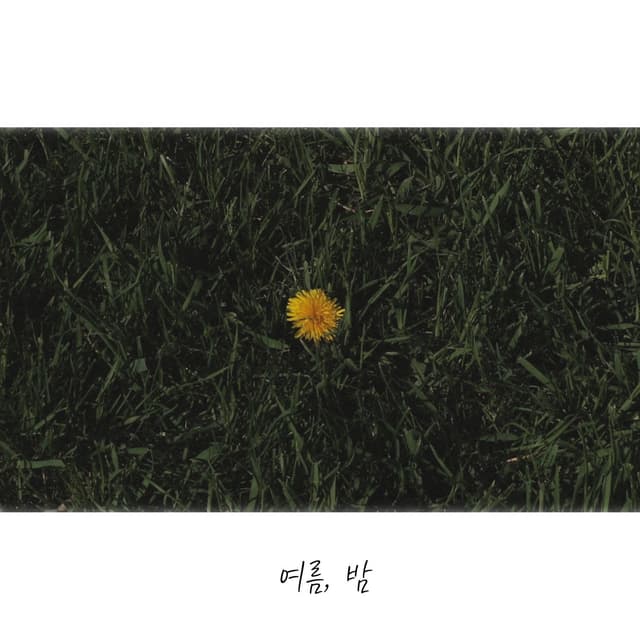 Album cover art for 여름, 밤 (IN JULY)
