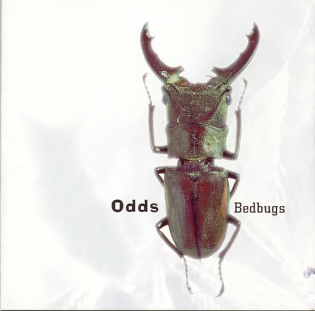 Album cover art for Bedbugs