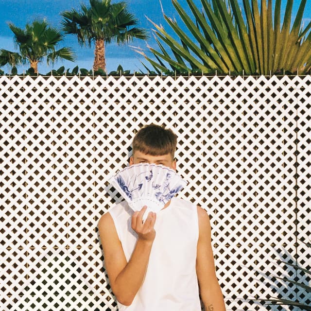 Album cover art for Sommerhus
