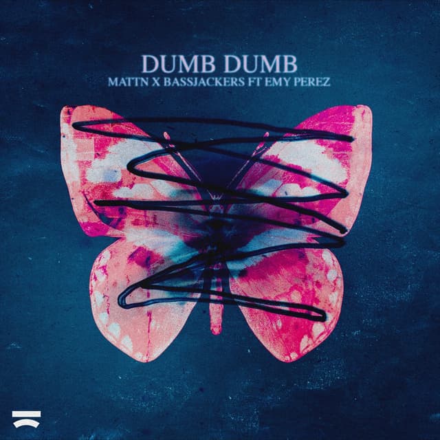 Album cover art for Dumb Dumb