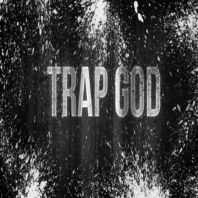 Album cover art for Diary of a Trap God