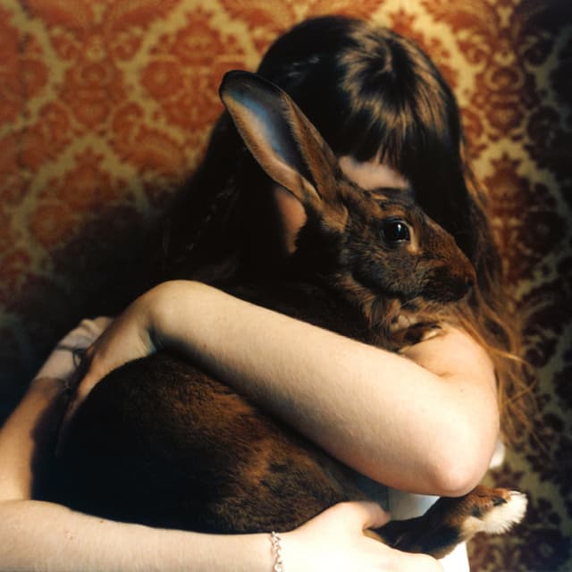 Album cover art for Miss
