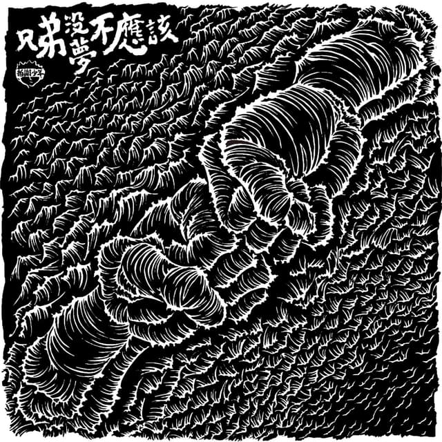 Album cover art for 兄弟沒夢不應該