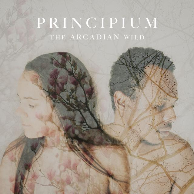 Album cover art for Principium