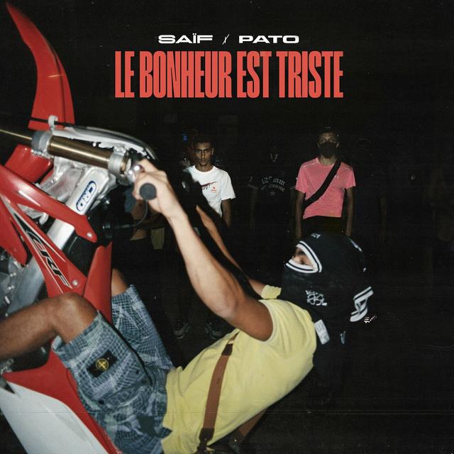 Album cover art for Le bonheur est triste