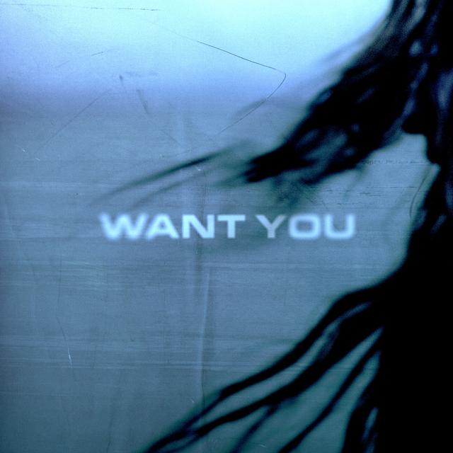 Album cover art for Want You
