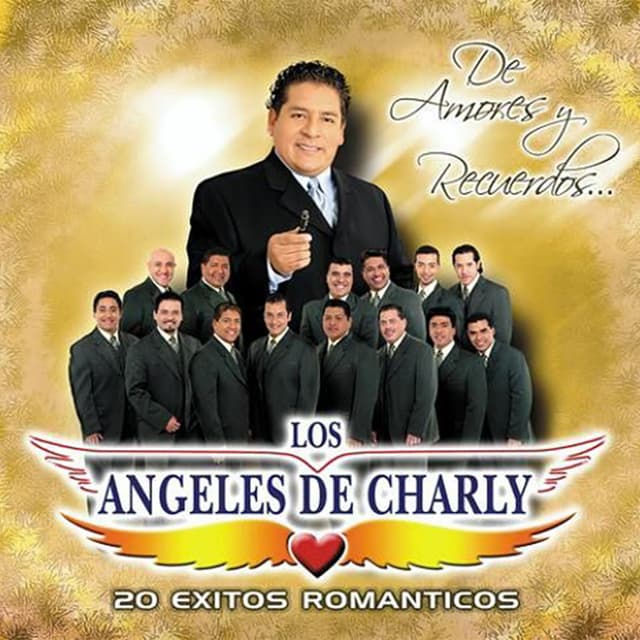 Album cover art for De Amores y Recuerdos... 20 Éxitos Románticos