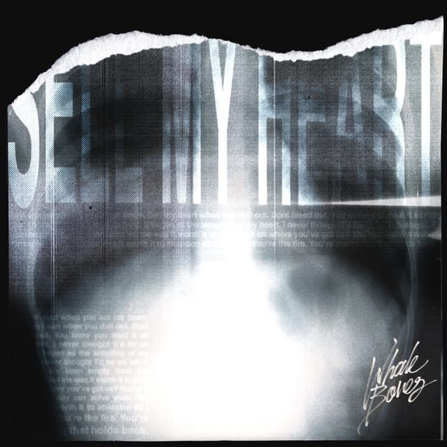 Album cover art for Sell My Heart