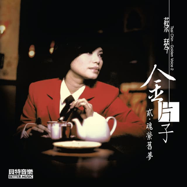 Album cover art for 金片子【贰】魂萦旧梦