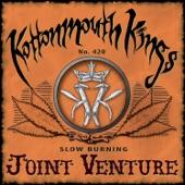 Album cover art for Joint Venture