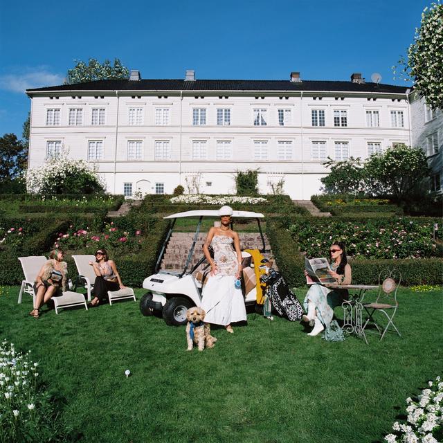 Album cover art for Sees Igjen