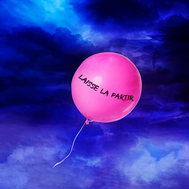 Album cover art for Laisse la partir