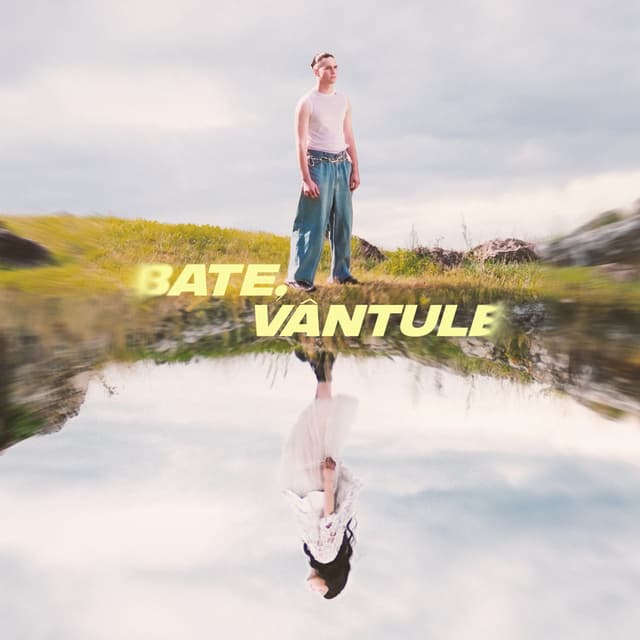 Album cover art for Bate, vântule