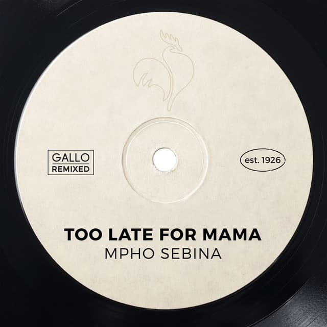 Album cover art for Too Late for Mama