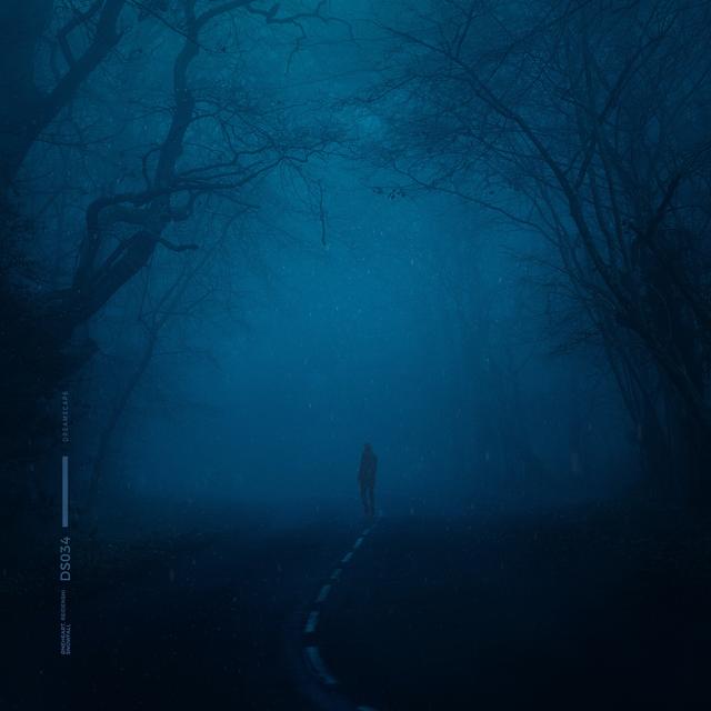 Album cover art for Snowfall