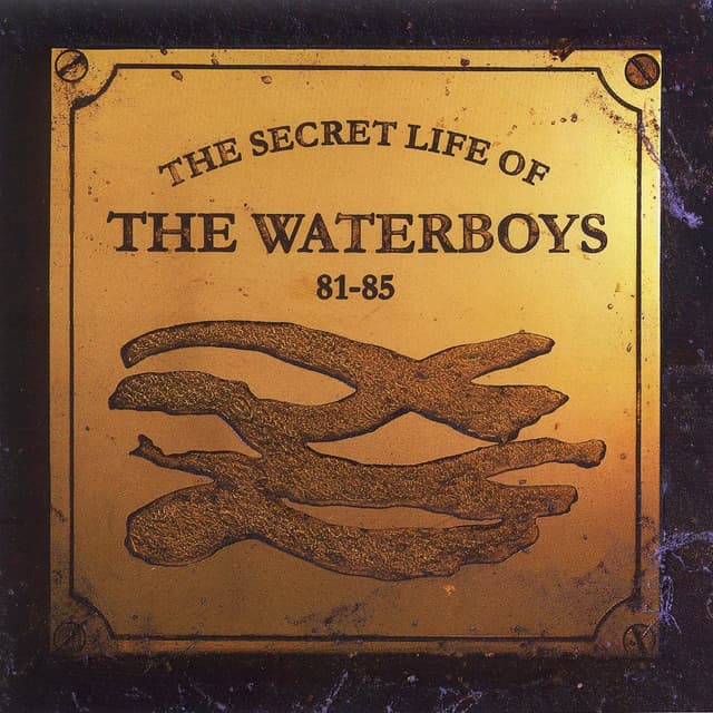 Album cover art for The Secret Life of the Waterboys 81–85