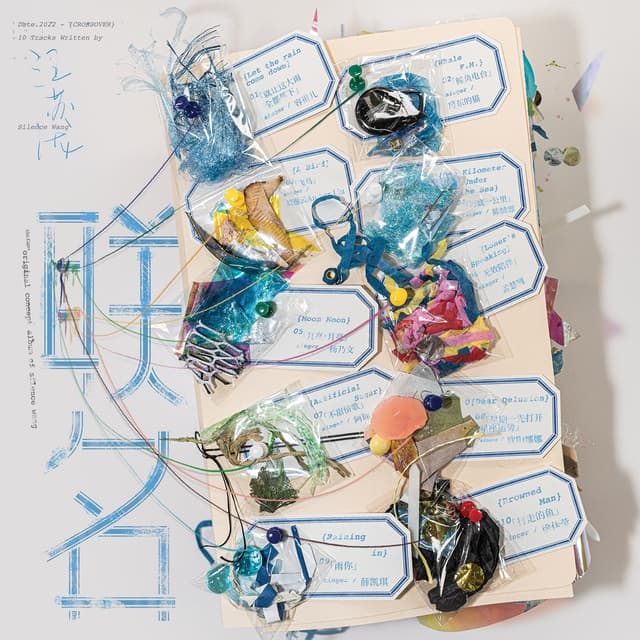 Album cover art for 联名