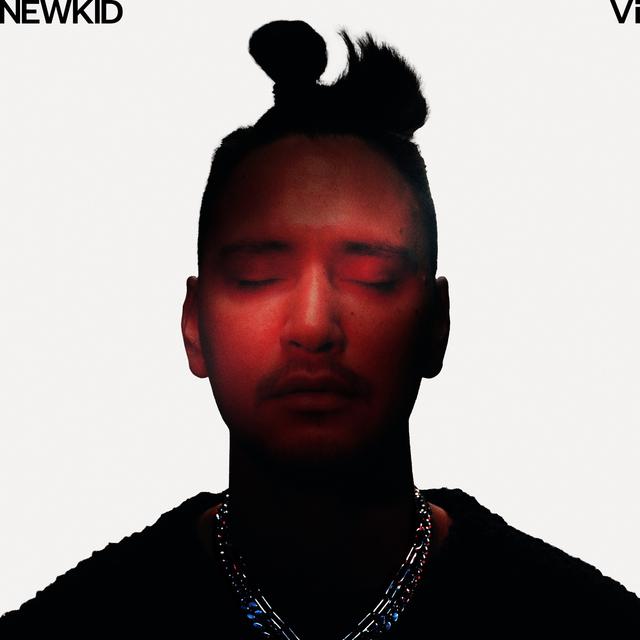 Album cover art for Vi