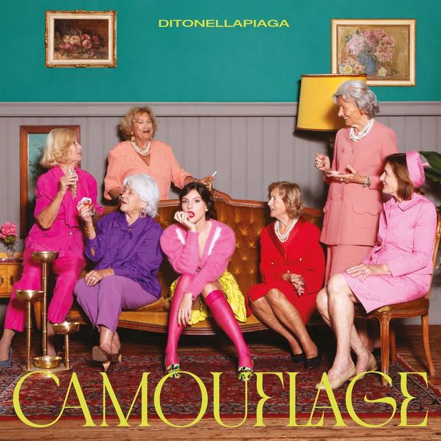 Album cover art for Camouflage