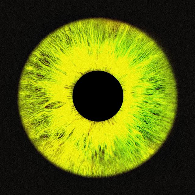 Album cover art for 23'F/W