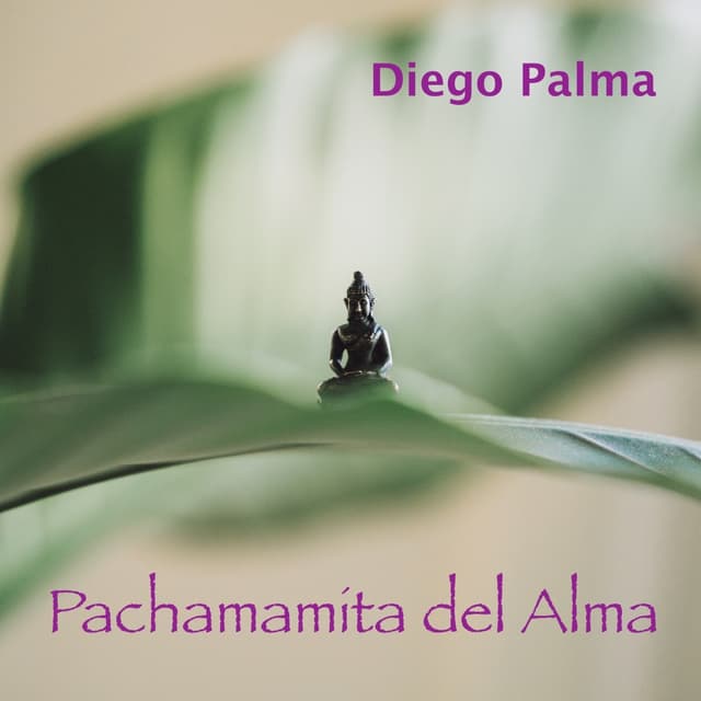 Album cover art for Pachamamita del alma