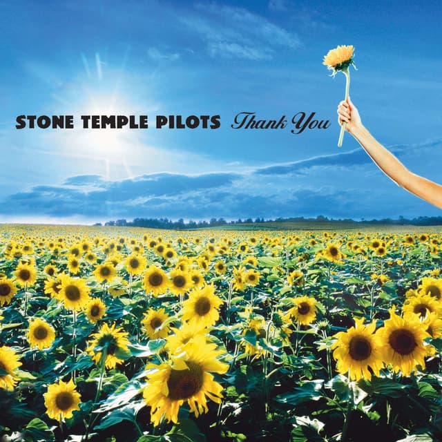 Album cover art for Thank You