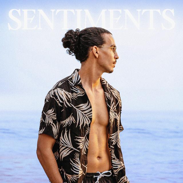 Album cover art for Sentiments