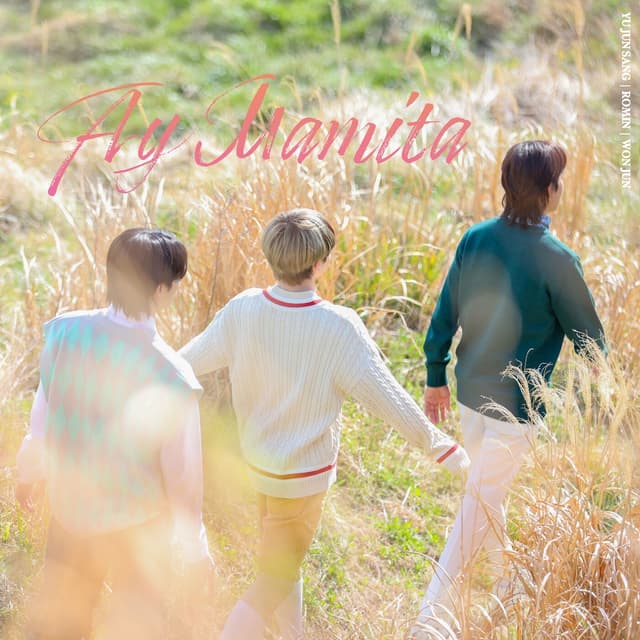 Album cover art for Ay Mamita