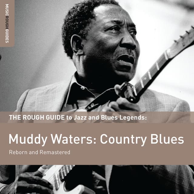 Album cover art for Rough Guide To Muddy Waters: Country Blues