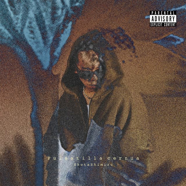 Album cover art for Pulsatilla cernua