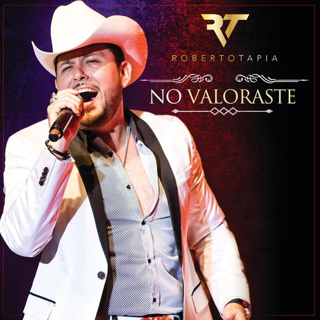 Album cover art for No Valoraste