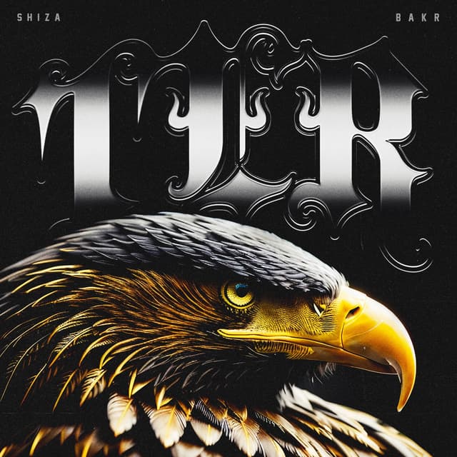 Album cover art for TER