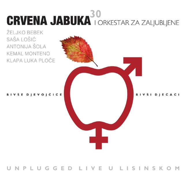 Album cover art for Bivše Djevojčice Bivši Dječaci - Unplugged Live U Lisinskom